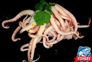 Щупальца кальмара очищенные